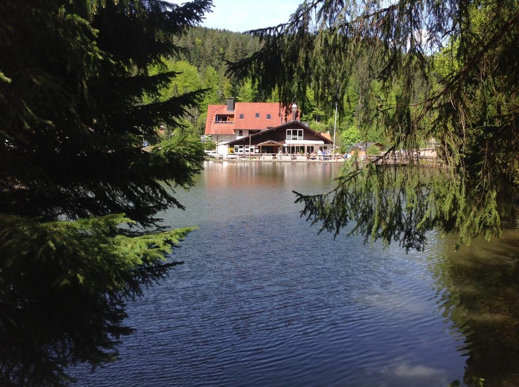 Self-Check-In Ferienwohnungen & Apartments Am Bergsee Triberg im Schwarzwald Bagian luar foto